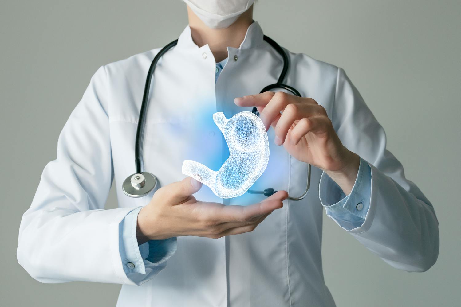 Quel est le rôle de l'estomac dans la digestion ?